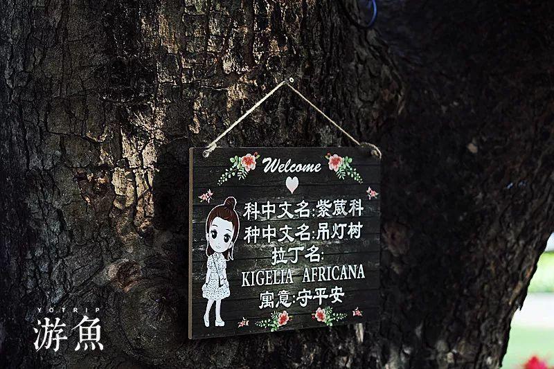 吴淞情报组的秘密联络点——寻访一德大药房原址