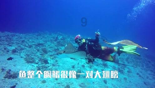 坦克反击战